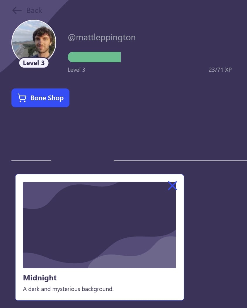 A screenshot of the My Collections page on StudyFetch, after applying the midnight background.