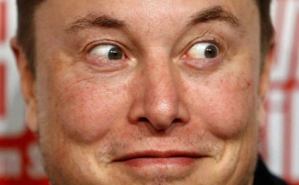 Nahaufnahme des Gesichts von Elon Musk