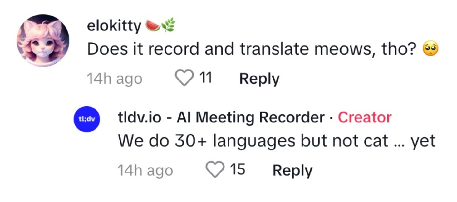 Comentários na mídia social sobre a linguagem dos gatos