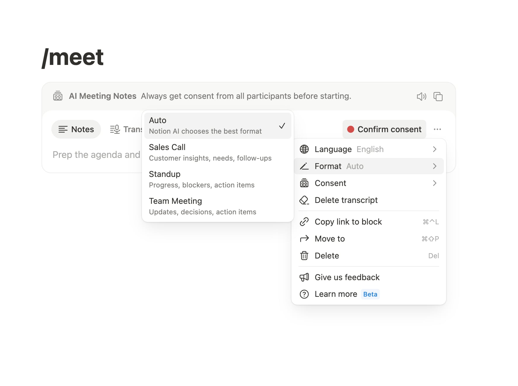 Notion AI Meeting Notes format options: Auto, Sales Call, Standup and Team Meeting (from my first test)