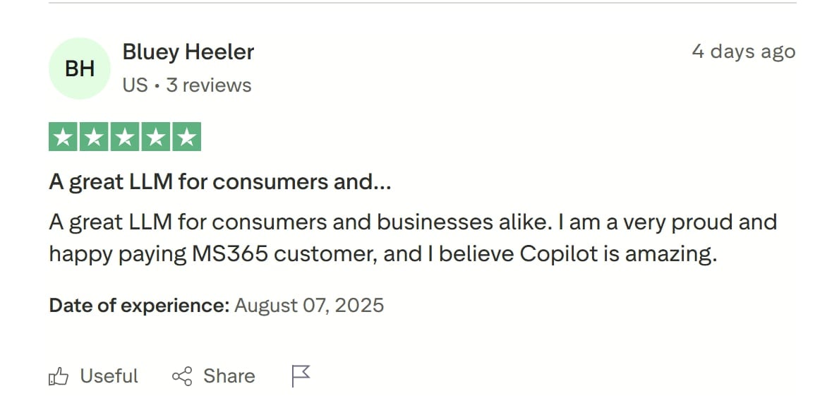 Another fake-sounding Trustpilot review.