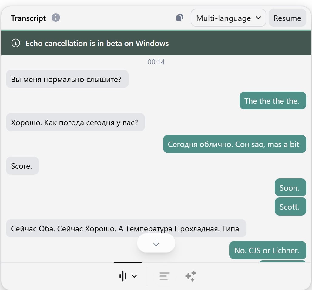 Попытка Granola переписать урок русского языка.