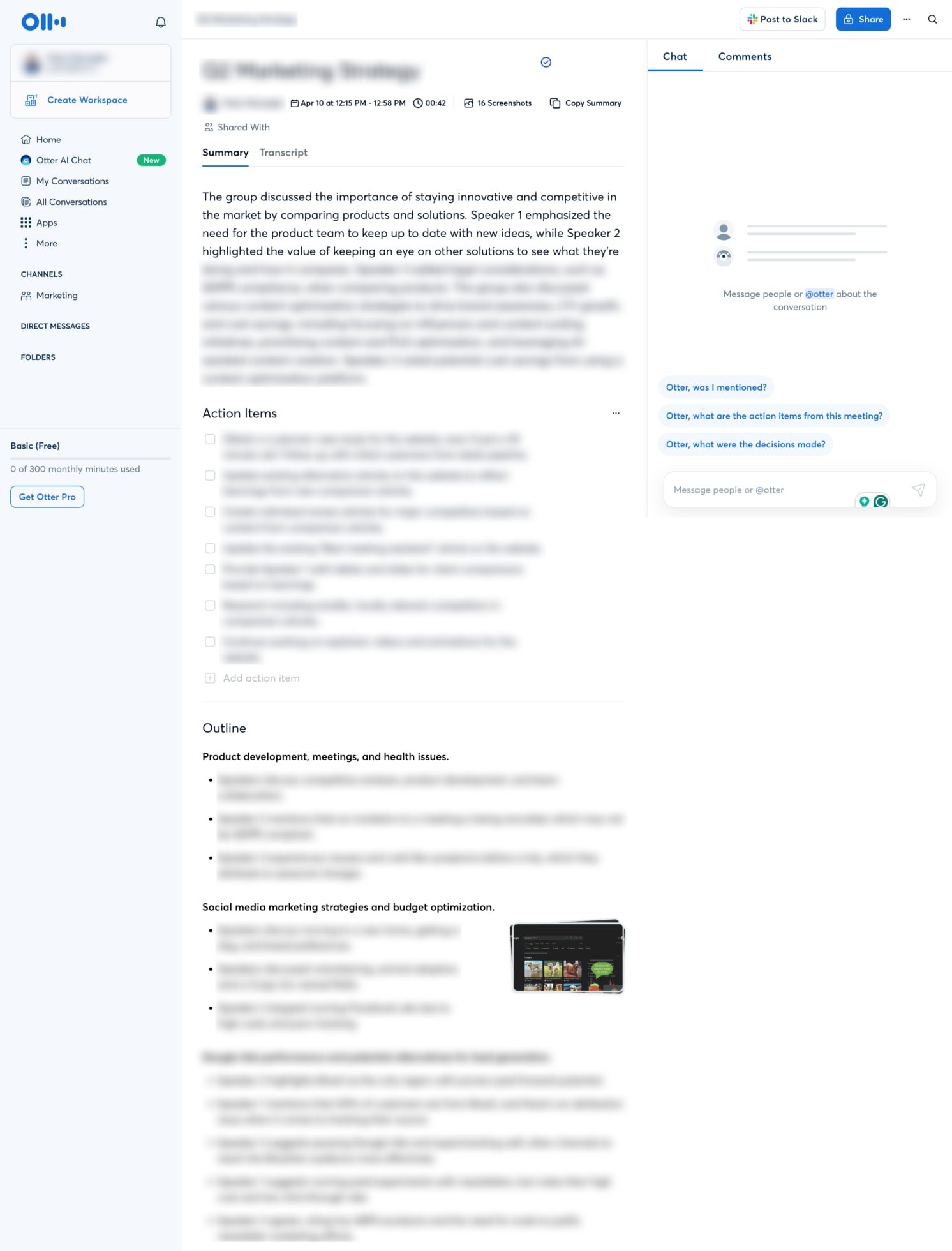 otter meeting notes overview