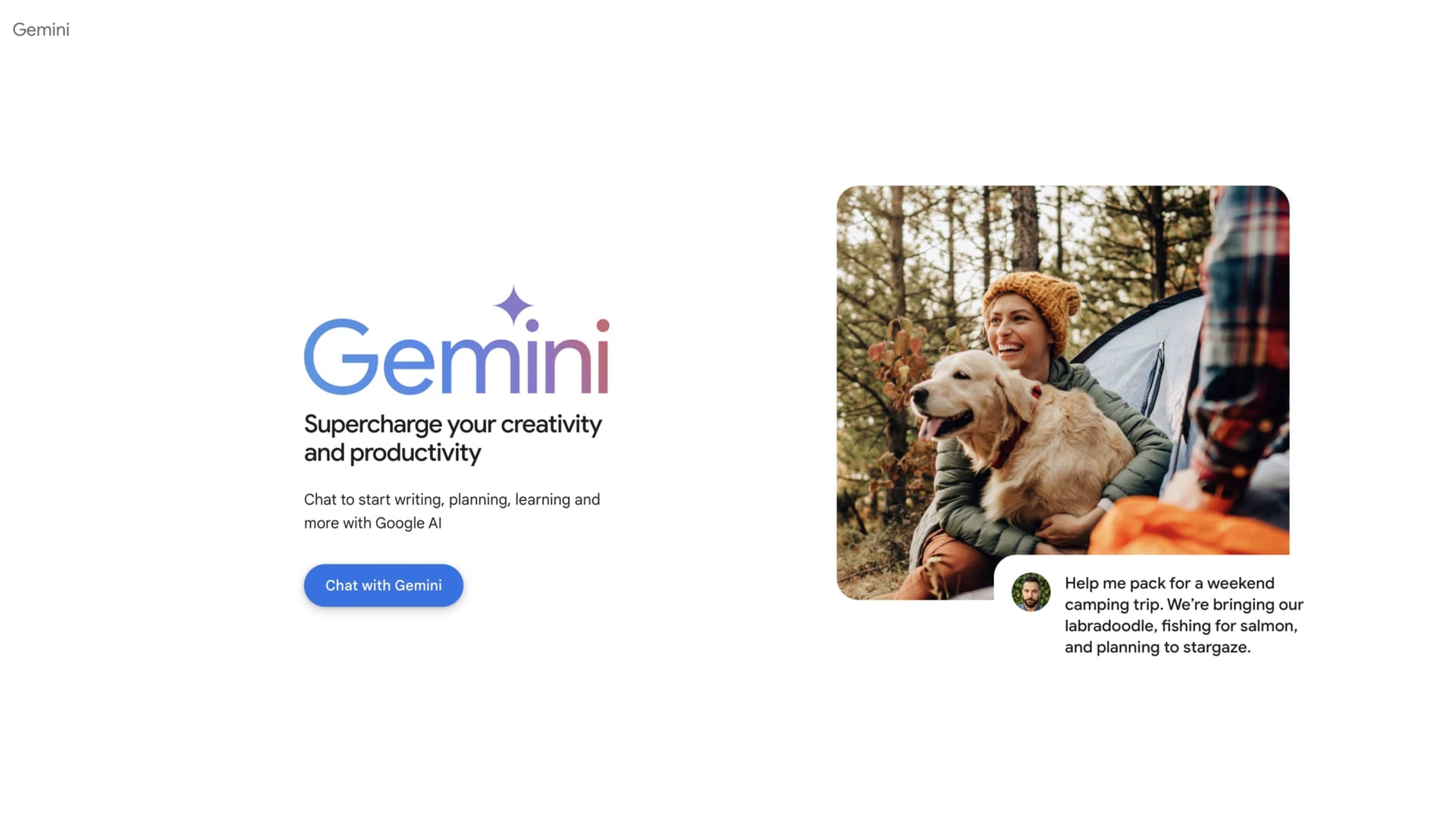 Écran de Google Meet avec Gemini