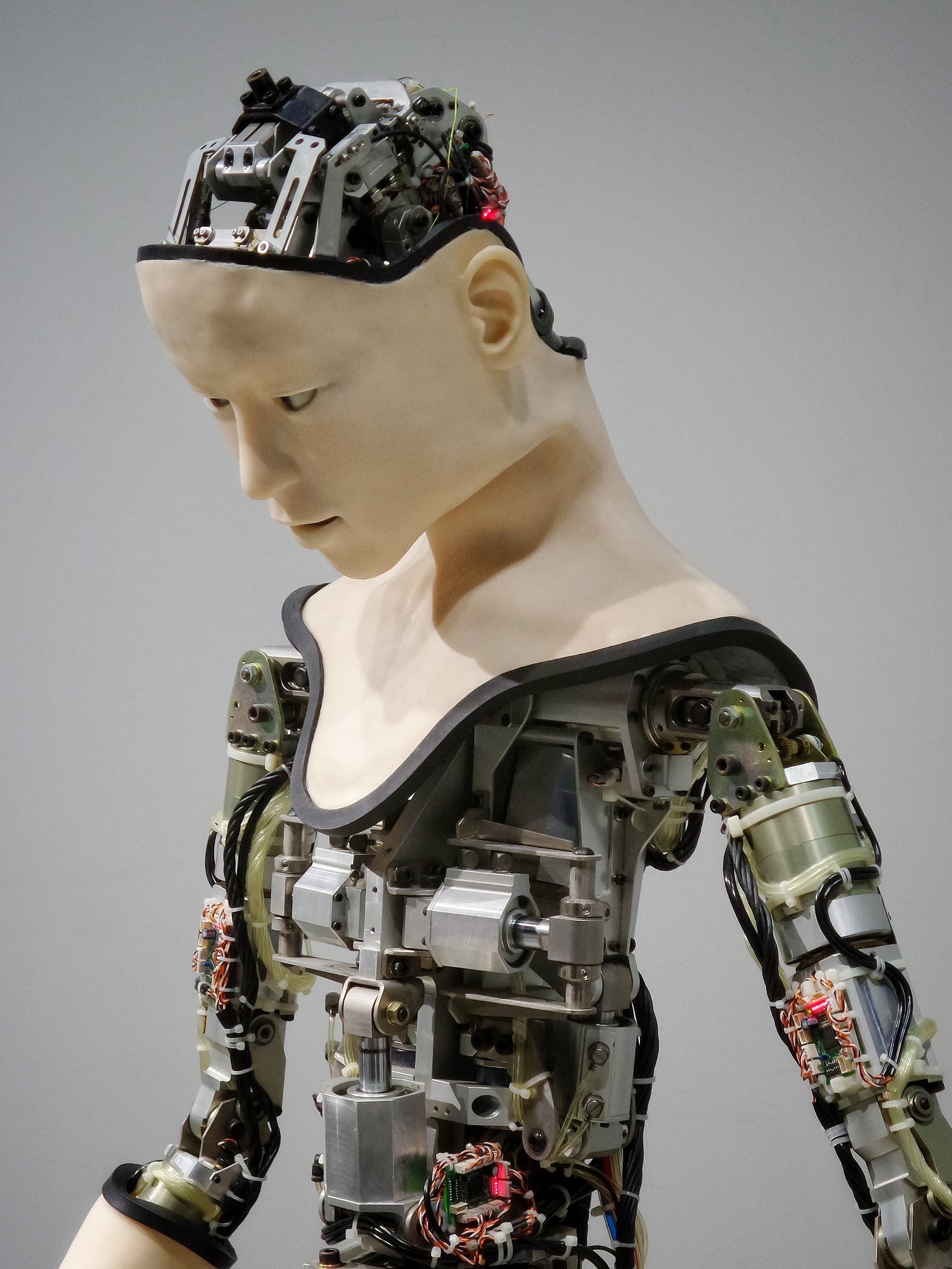 L'apprentissage automatique et l'IA avancée ont donné naissance à une série d'extensions gratuites des TPG qui peuvent vous faciliter la vie sur internet.