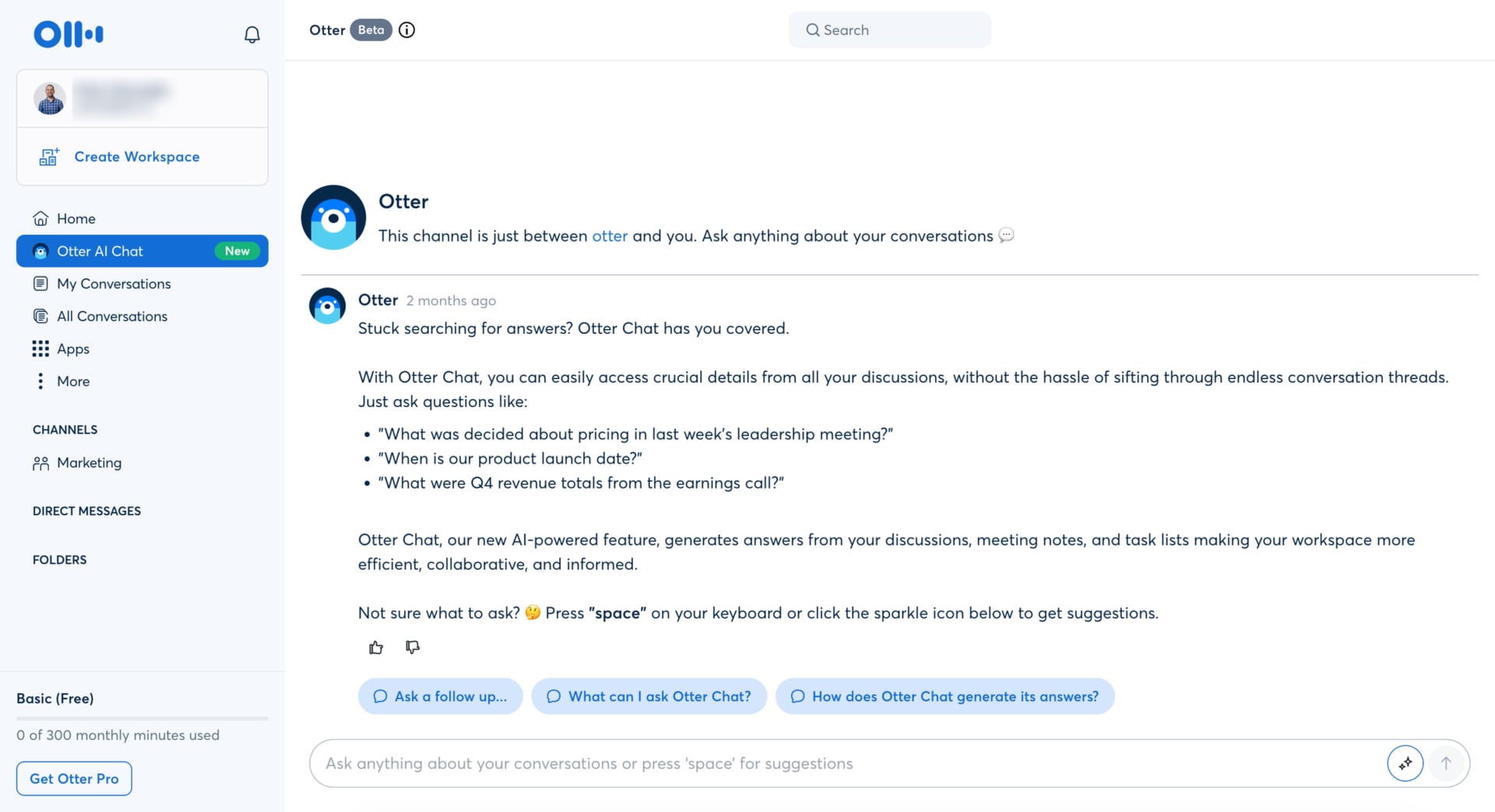 Otter AI Chat screenshot